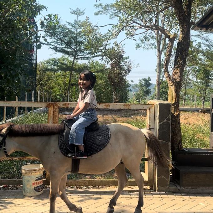Tersedia Kuda Poni yang Dapat Dijadikan Wahana Khusus Anak-anak.