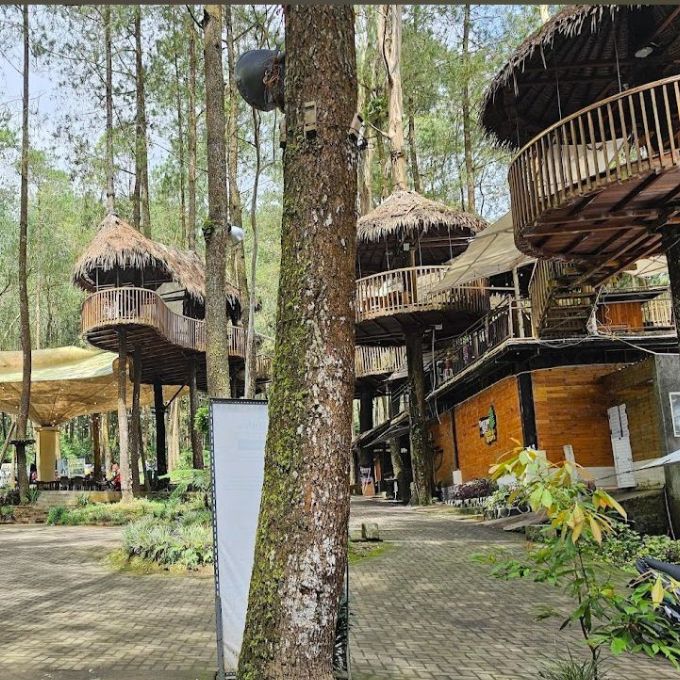 SEWA MOBIL SEMARANG KE TREETOP ADVENTURE PARK